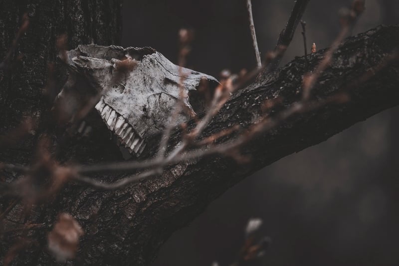Bell Witch